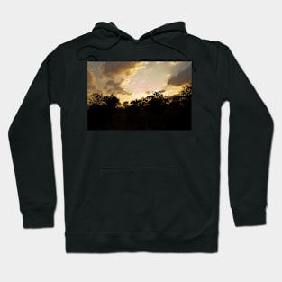 African Sunset #2 Hoodie